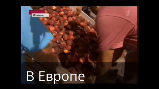 Я дразню Сашу Куряного (Показываю не те страны) смотреть онлайн