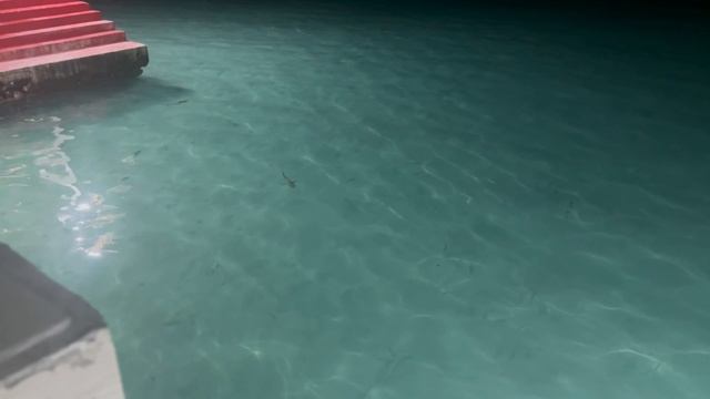 Мальдивы-2024 смотреть онлайн