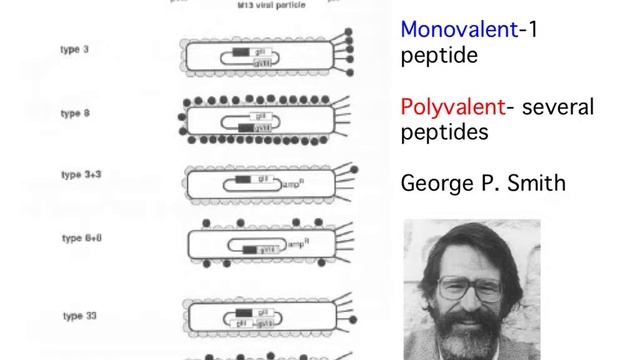 Week 4- Protein Engineering Lecture 5: Mutagenesis смотреть онлайн