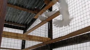 Гонять больше нечего..mp4