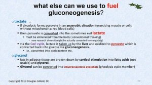 Endocrinology: (Wk6)(Tues)(Spr20): Glycolysis and Gluconeogenesis + Cushing's Syndrome (Part I)