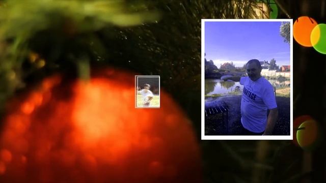 фотоотчет MP4