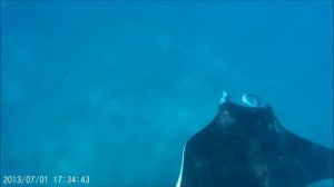 Manta Rays at Manta Point, Nusa Penida, 05.12.15