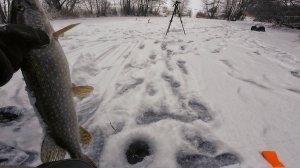 Мелкая река дала нам добро