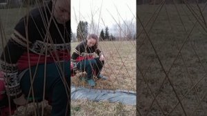 Мастер-класс по плетению живой беседки из ивового прута.