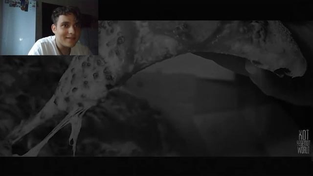 реакция на МНЕ ПРИСЫЛАЮТ ФОТО ГHИЛOЙ ДЕВУШКИ... Страшные истории на ночь. Страшилки на ночь. смотреть онлайн