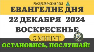 22 ДЕКАБРЯ ВОСКРЕСЕНЬЕ ЕВАНГЕЛИЕ ДНЯ (5 МИНУТ) АПОСТОЛ МОЛИТВЫ 2024 #мирправославия