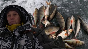 Щука не ХОЧУХА, ловим ОКУНЯ! Зимняя рыбалка на окуня.