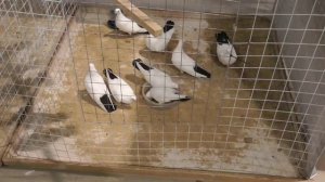 29 ноября 2023 г.