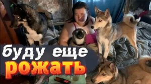 Буду еще рожать. Куча собак. Нет условий для жизни. Необычные люди тоже хотят семью.