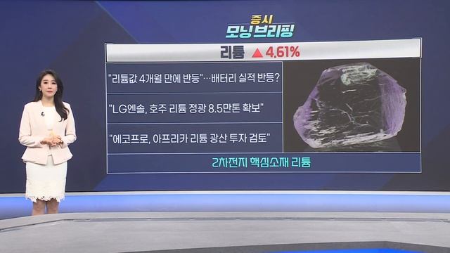 2차전지주 반등, 핵심은 리튬ㅣ루닛, 작년 사상 최대 매출! 주가 급등! ㅣ#리튬 #2차전지 #루닛주목!ㅣ[#한눈에_보는_증시모닝브리핑]ㅣ한국경제TVㅣ머니플러스