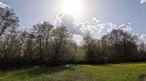 Заливные луга