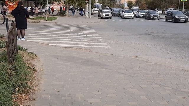 АСТРАХАНЬ здесь псы бродячие самые воспитанные смотреть онлайн