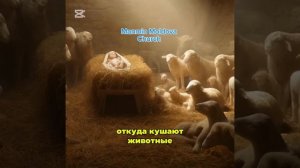 Почему Сын Божий, Иисус, родился в хлеву и был положен в ясли?