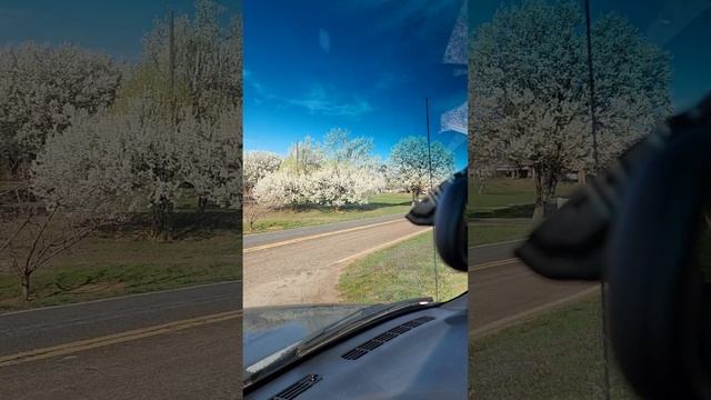 КАКАЯ КРАСОТИЩА КАКАЯ ПРЕЛЕСТЬ смотреть онлайн