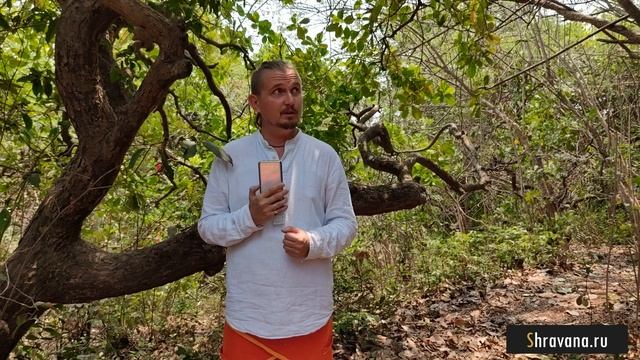 РАХУ во 2 ВТОРОМ доме | Дмитрий Пономарев