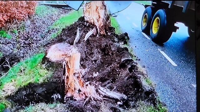 ПРОФЕСИОНАЛ В СВОЕЙ РАБОТЕ / УДАЛЕНИЕ КОРНЕЙ . смотреть онлайн