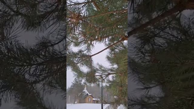 Небольшая видеозарисовка паломников нашей обители о нашем монастыре смотреть онлайн