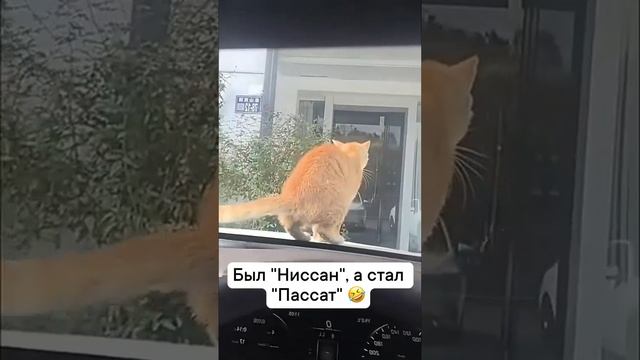 Это штраф за неправильную парковку