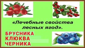 ЛЕЧЕБНЫЕ СВОЙСТВА БРУСНИКИ КЛЮКВЫ ЧЕРНИКИ