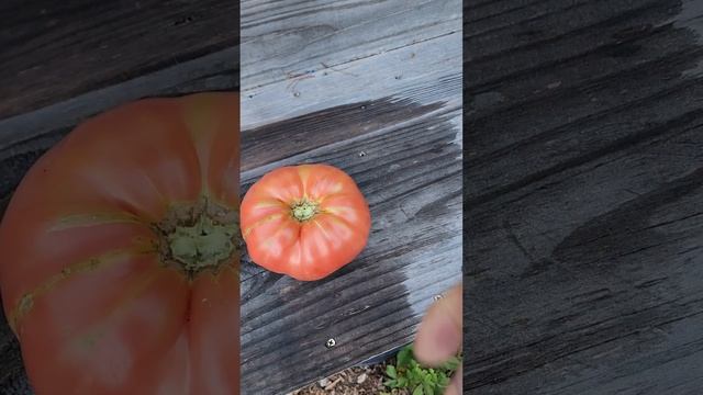 July 9, 2024 смотреть онлайн