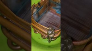 Йод однохлористый промывка радиатора Газовой колонки