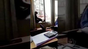 What happened when a monkey enters in the classroom.Funny 🐒.Viral video