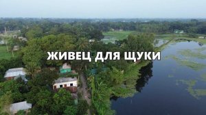 ЭТА Женщина Щуку ЛОВИТ БОЛЬШЕ ЧЕМ ЛЮБОЙ МУЖИК! Рыбалка SeMano TV