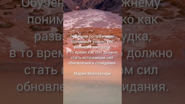 цитаты Монтессори