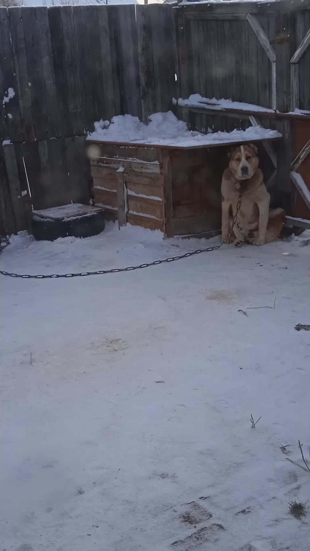жизьнь