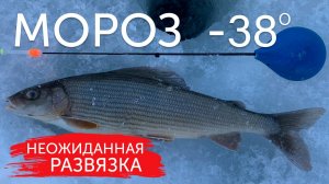 ЭТО НАДО ВИДЕТЬ! Что я нашёл в желудке у хариуса! Зимняя рыбалка в лютый мороз