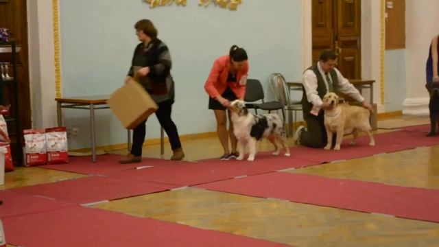 Моно САО в Туле 28 01 18 года 059 смотреть онлайн