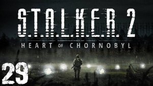 S.T.A.L.K.E.R. 2 Heart of Chornobyl #29. Шевченко и Скадовск