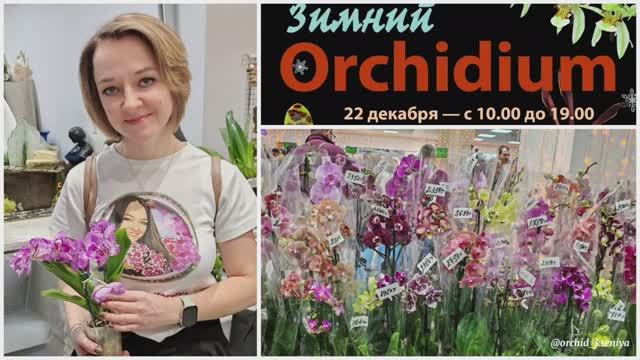 Зимний ОРХИДИУМ 2024🌺 Выставка-продажа орхидей в Москве | Много интересных орхидей + новые продавцы