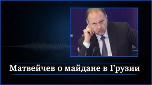 Матвейчев о майдане в Грузии