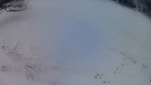 VLOG  ХОДИМ ПО ЛЬДУ!  ПРОВАЛИЛСЯ ПОД ЛЁД!!!