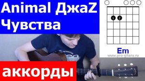 Animal Джаз - Чувства аккорды 🎸 кавер табы как играть на гитаре