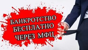 ЧТО НЕ ТАК С ВНЕСУДЕБНЫМ БАНКРОТСТВОМ И ПРИСТАВАМИ ?