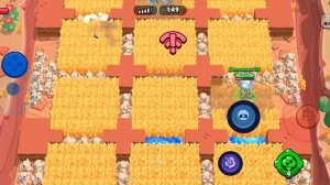 браво старс