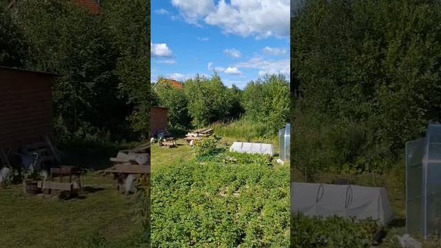 Лето. Люди работают.