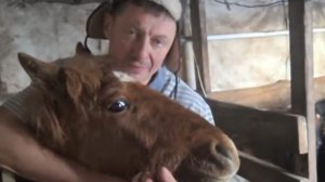 Воскресенье