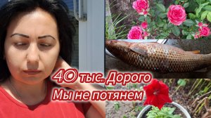 Семья из Мариуполя.Новая причёска.Готовлю рыбу.