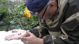 В Спировском районе поисковики подняли фрагменты фюзеляжа фронтового бомбардировщика ДБ-3