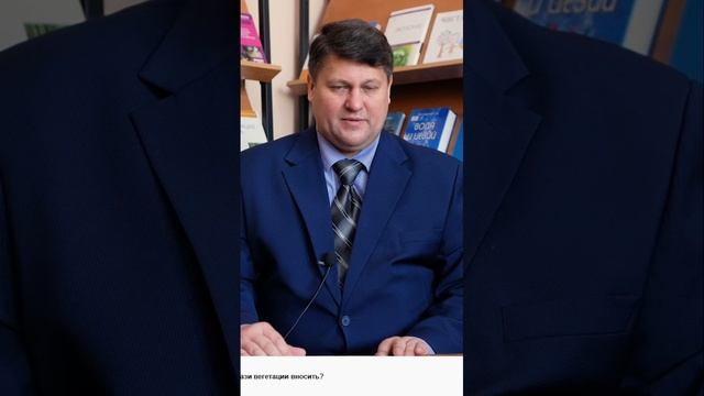 Лучшие минеральные удобрения для картофеля