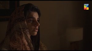 Diyar e Dil Episode 14 HUM TV Drama