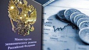 Минэкономразвития о простоте банкротства через МФЦ.||Ожидания VS Реальность #Территория_права