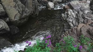 Трудные дороги, красивые места 4K