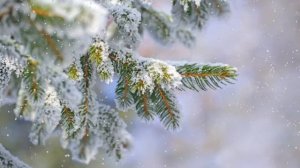 Восполни ресурс своих духа, души и тела слушая Библию.