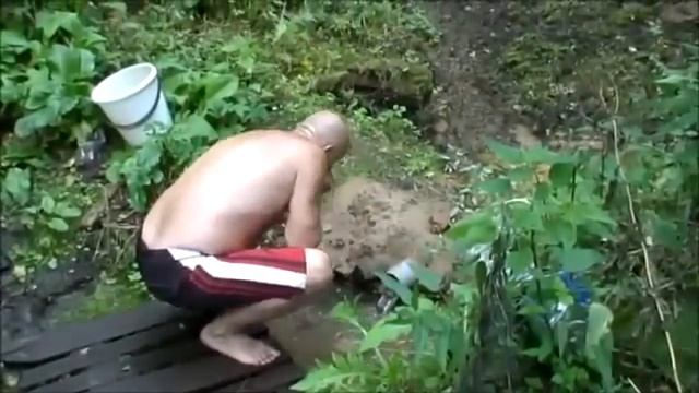 Целебная сила деревьев (часть __7)