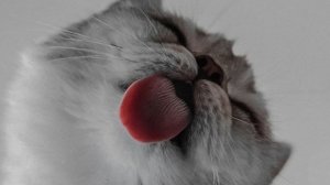 выживаю в майнкрафте!